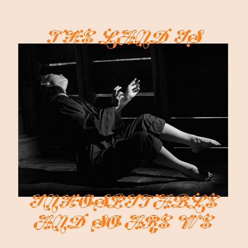 mitski the land is inhospitable and so are we