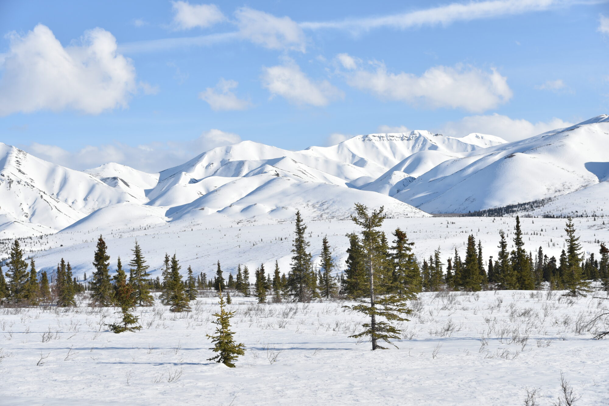 Między szczytem a powiadomieniem. O cyfrowej rewolucji turystyki górskiej