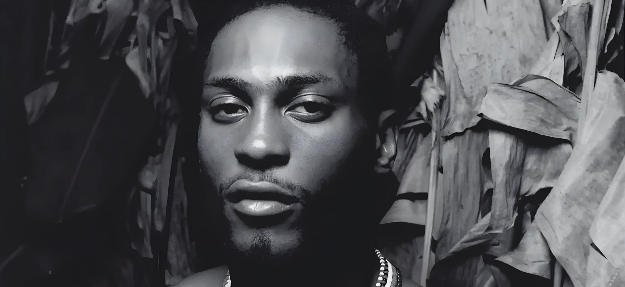 D’Angelo