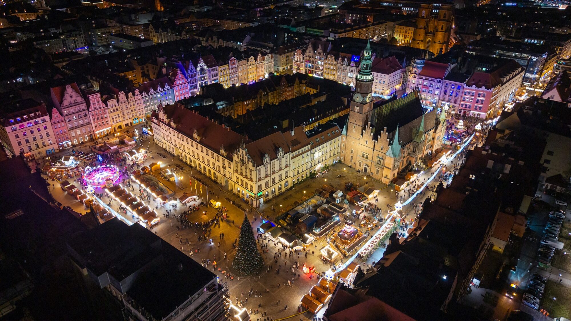 Wrocław walczy ze szczurami