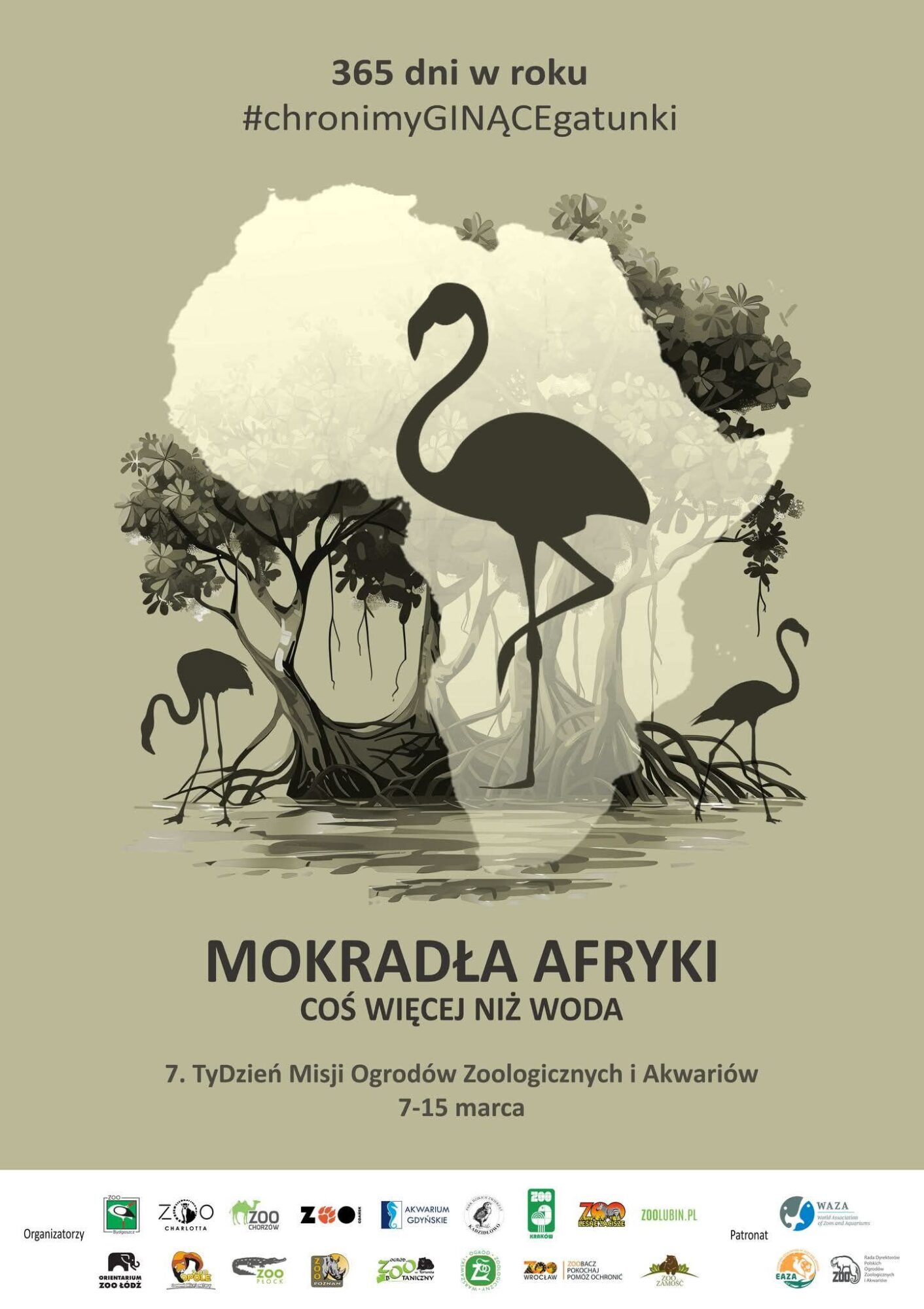 Dzień Misji ZOO 11 marca. Jak obchodziło go wrocławski ogród?